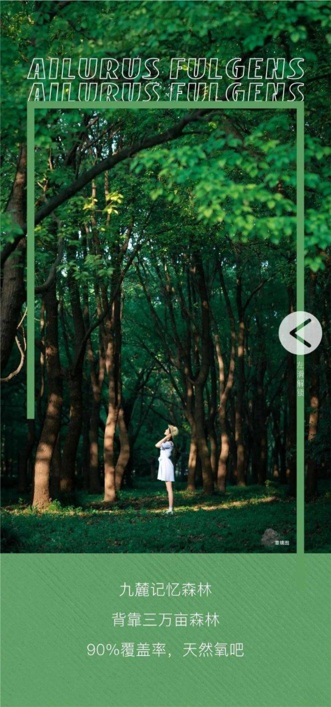 跳跃的木偶