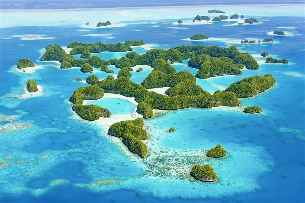 志愿北疆登陆手机号不用了密码也忘了怎么办？游戏画面