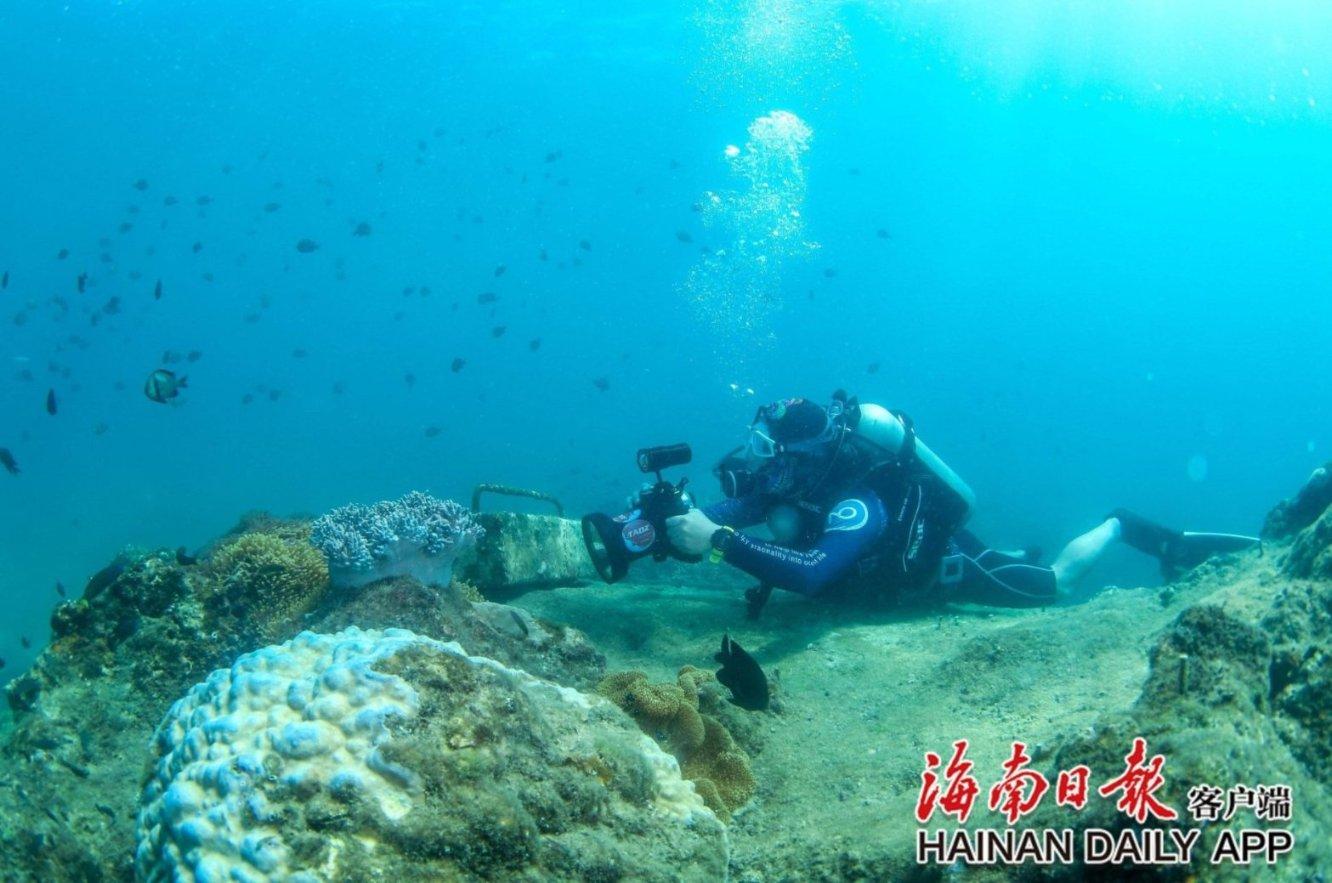 了解这是哪部动画里的人物啊?,加入知识星球!