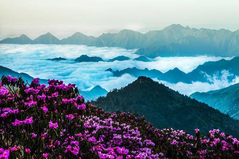 鼻炎总不好怎么办？游戏画面